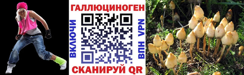 Псилоцибиновые грибы Magic Shrooms  Мостовской 